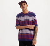 Levi's Skate Graphic Box Tee - Grape Royal Purple and Red