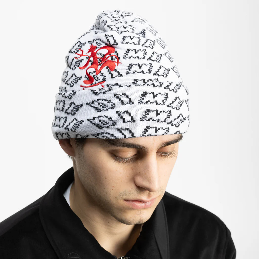 Dime Chopper Fold Beanie - White